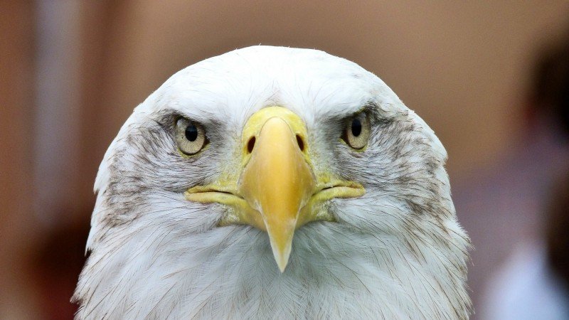 If there was ever anything to keep an eagle eye on, it’s your money.